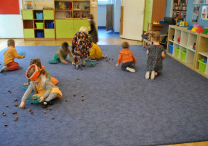 Dzieci zbierają do koszyczków kasztany rozrzucone po dywanie w sali. Ujęcie 1